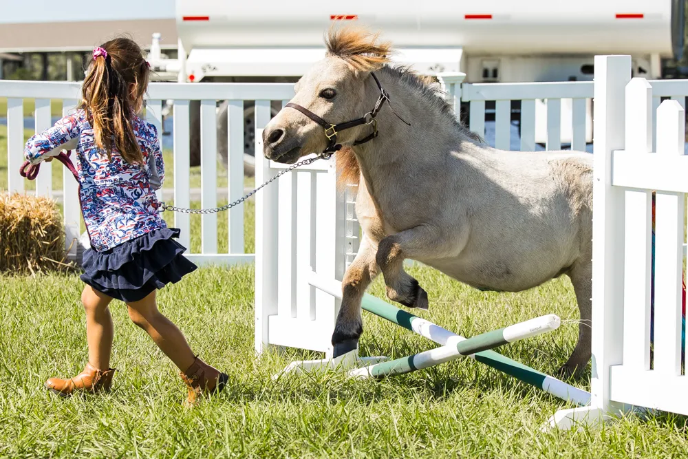 Grand Prix dressage action at the 2023 TerraNova Dressage II CDI3*/CDI-W