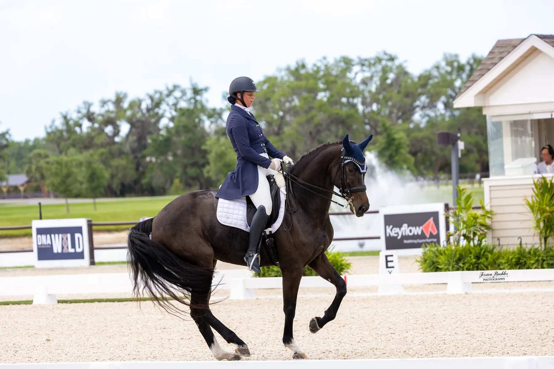 Eline Eckroth riding Daphne in the KB Squared Construction CDI3 Grand Prix Freestyle at TerraNova