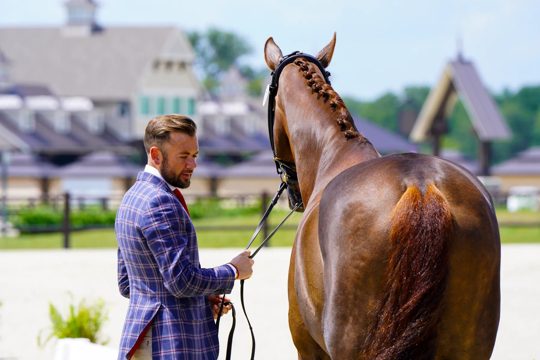 Endel Ots and Zen Elite's Bohemian at TerraNova Dressage III CDI3*