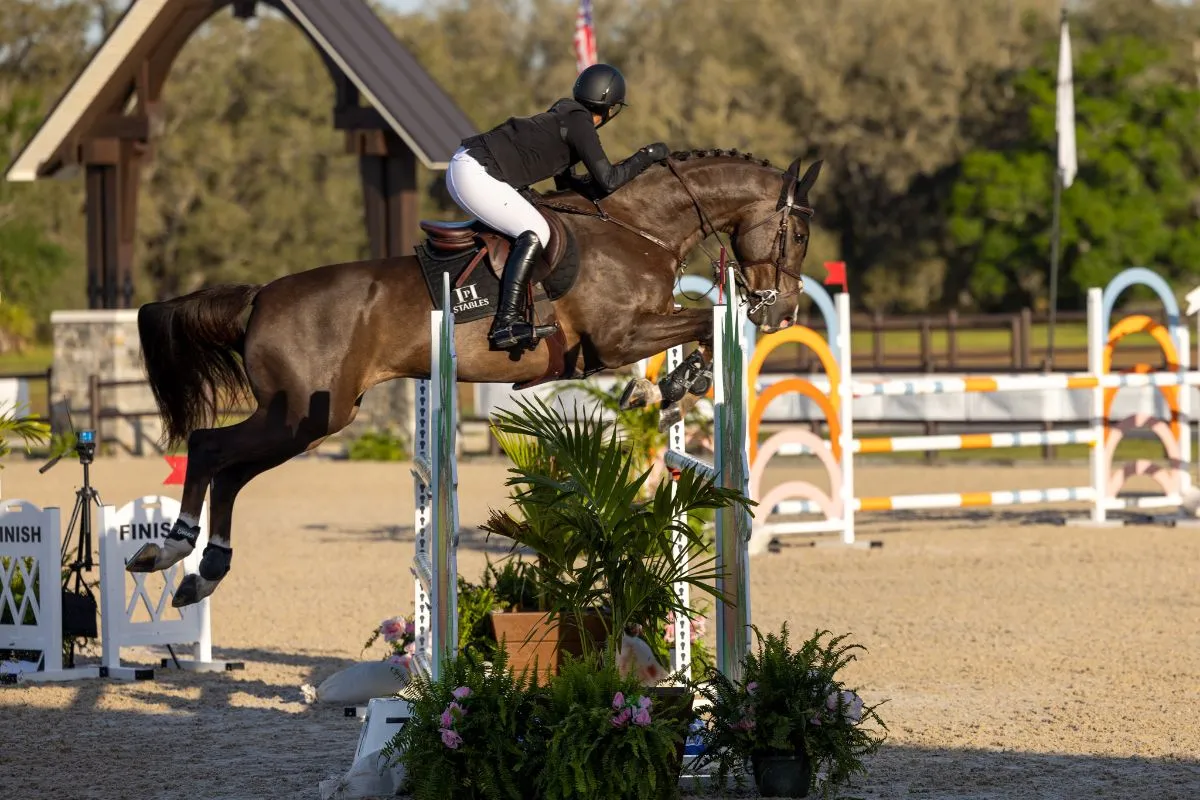 Eva Paliouras riding Dacota to second in the NAL 1.20m/1.30m Junior/Amateur Jumper Classic at TerraNova