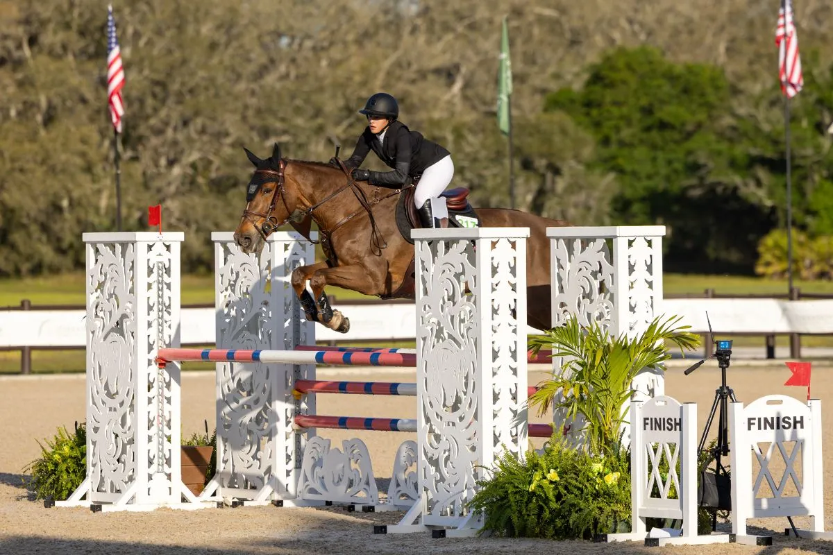 Eva Paliouras riding Don't Touch du Bois to win the $3,500 NAL 1.20m/1.30m Junior/Amateur Jumper Classic at TerraNova