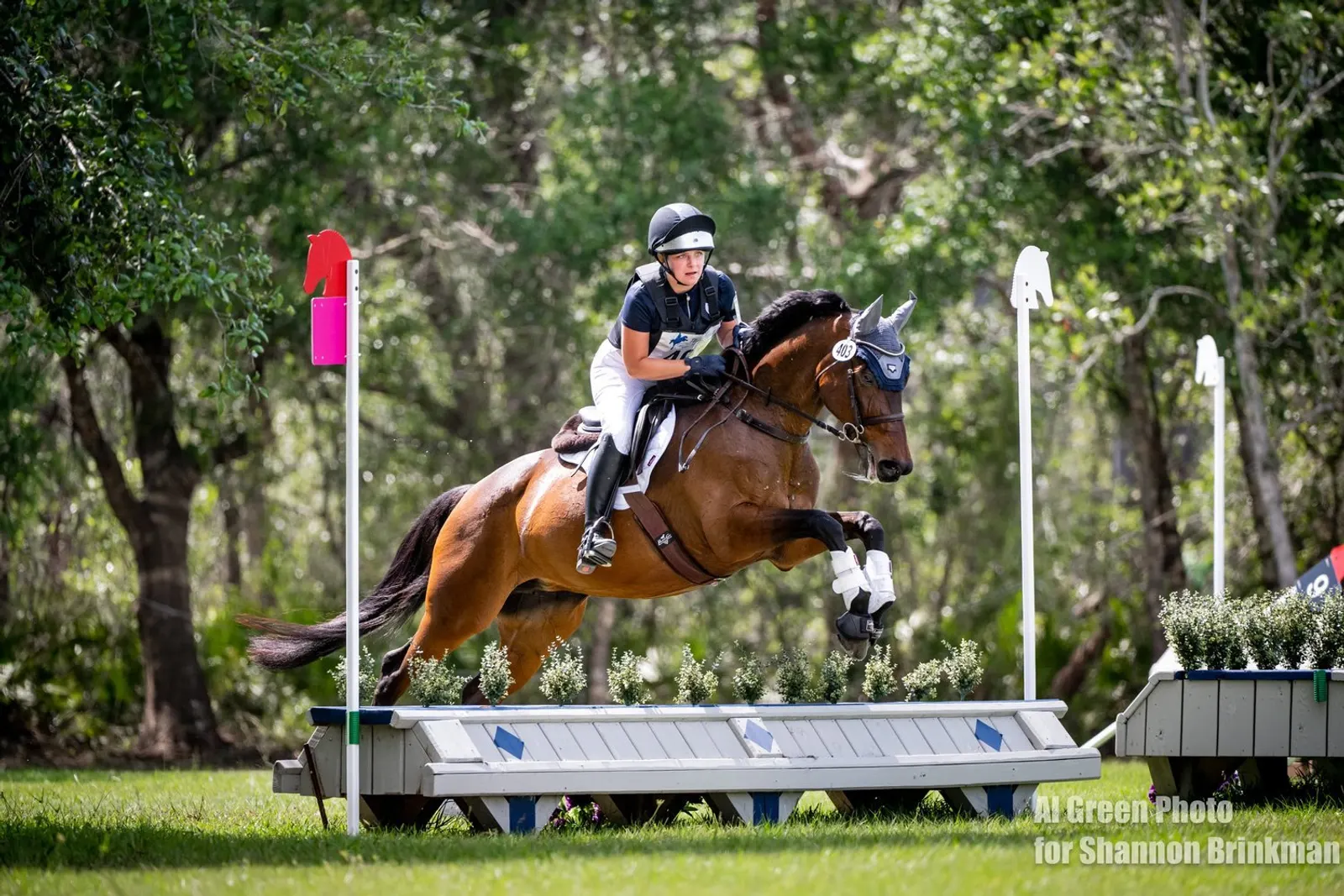 Evan Heller (USA) and O'Cally- 31.0