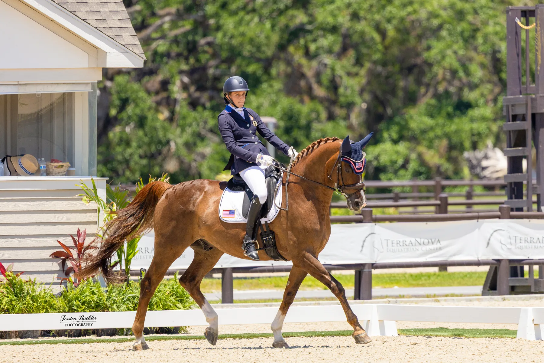 Fiona Howard riding Diamond Dunes in the CPEDI3 Para Grand Prix B at TerraNova