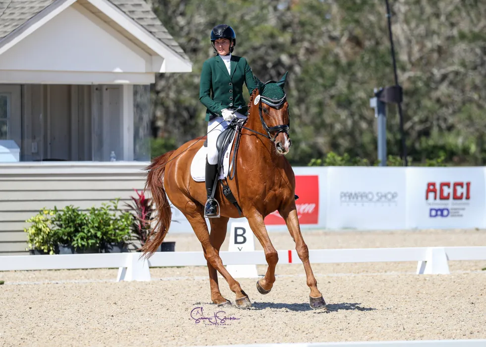 Hannah Herrig Ketelboeter riding Don Bosco at TerraNova Dressage II