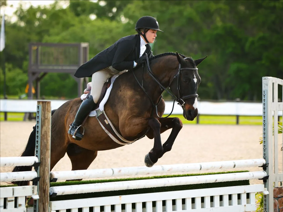 Hannah Wu riding Upgrade to second in the USHJA National Hunter Derby at TerraNova