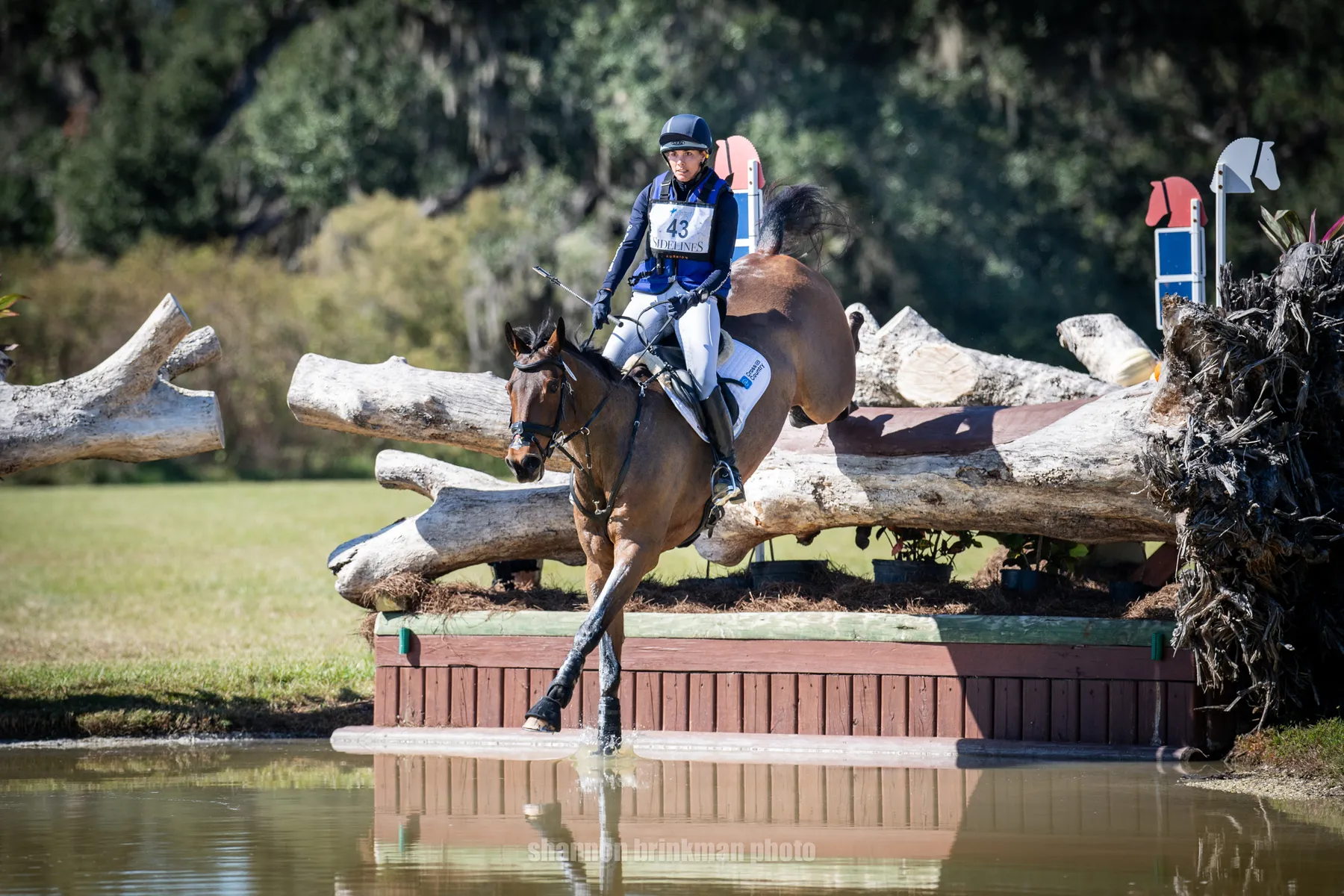 Hayley Frielick riding Sportsfield Lumiere on a double-clear cross-country round in the CCI4*-L at The Event at TerraNova