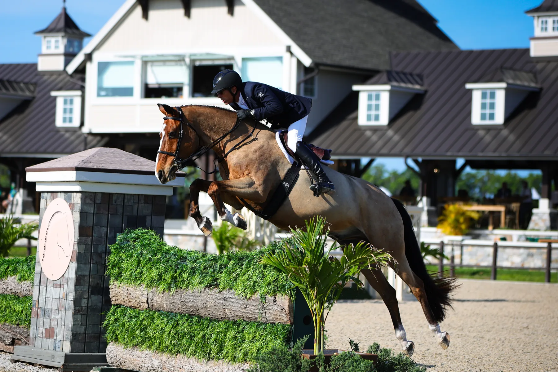 Hugh C. Mutch riding Va Bien Z to third in the USHJA National Hunter Derby at TerraNova