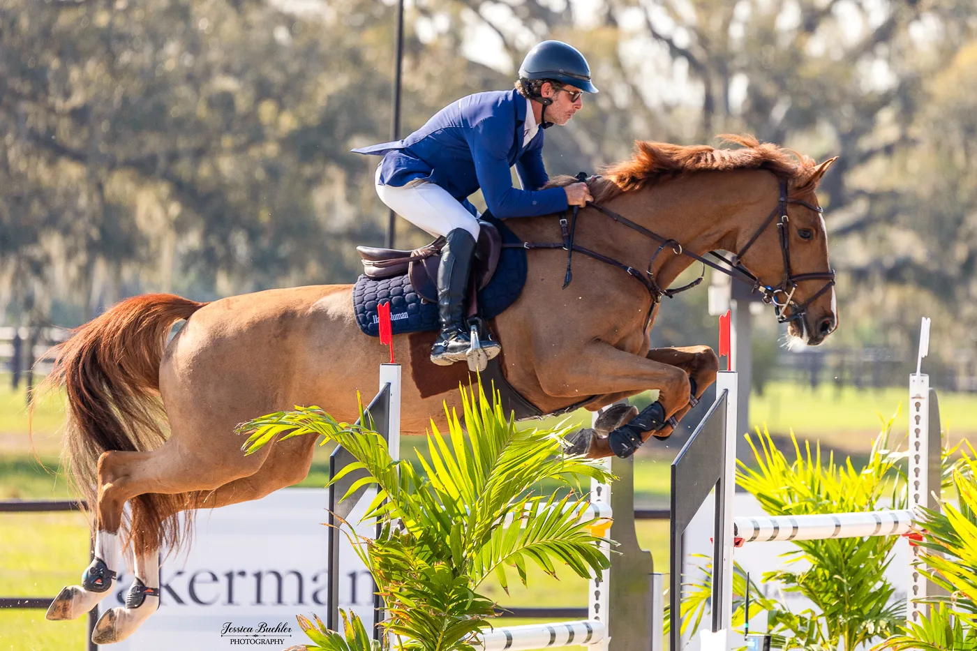 Ilan Bluman riding Camp S in The Estates at TerraNova $32,000 1.45m FEI Welcome Speed