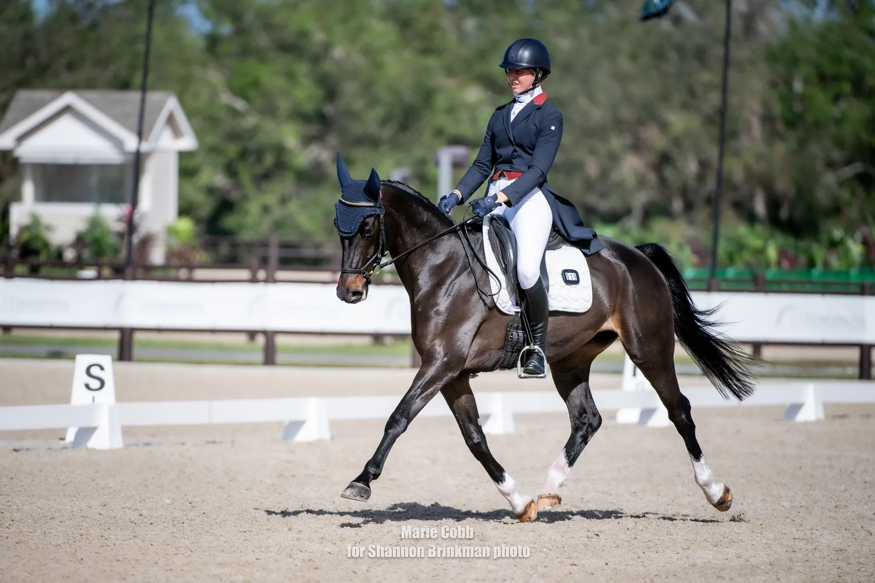 Isabelle Bosley riding Paper Doll in the CCI3*-L dressage at The Event at TerraNova