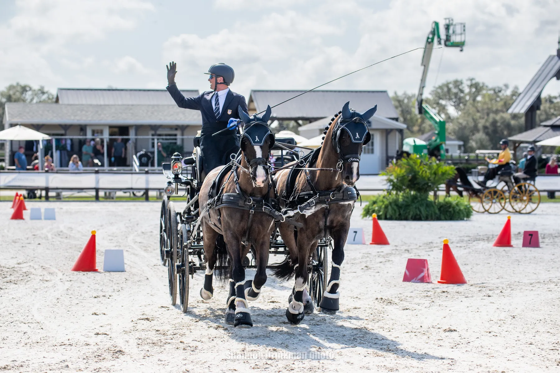 Jacob Arnold of Kentucky driving in the 3* Pair Horse division at the 2026 TerraNova Combined Driving Event