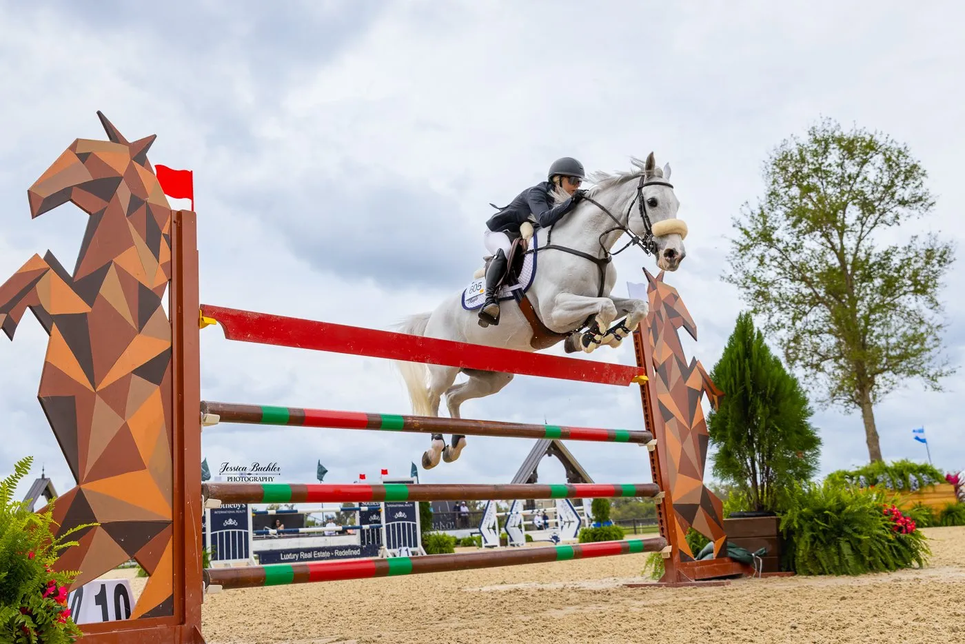 Jacqueline Ruyle riding Cyramo Z in the FEI Welcome Speed at TerraNova