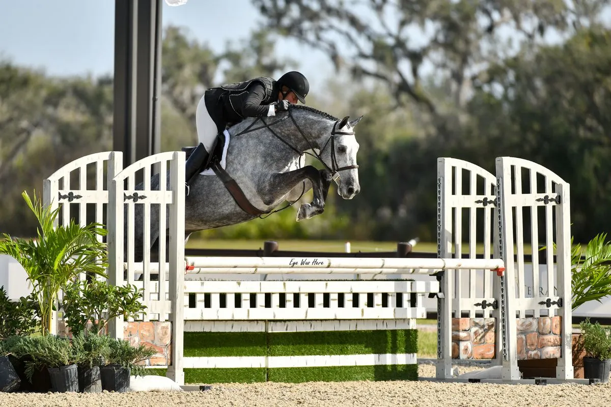 Jennifer Alfano riding Gunmetal to the top call in the $1,000 USHJA Green Hunter Incentive 3'6"/3'9" at TerraNova