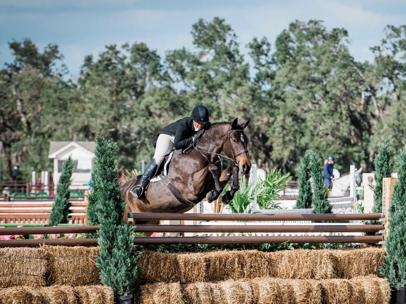 Jennifer Alfano and Next jumping a natural hunter fence lined with hay bales and cypress trees at TerraNova Equestrian Center. Photo by EQ Media.