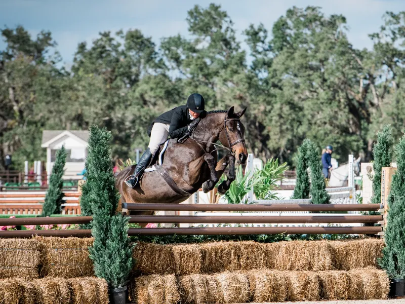 Jennifer Alfano riding Next jumping to first place in the $25,000 USHJA International Hunter Derby at TerraNova