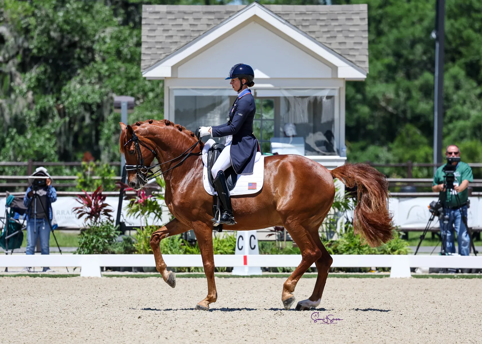 Jennifer Williams and Joppe K in the Leibold Irrigation CDI3* FEI Grand Prix at TerraNova