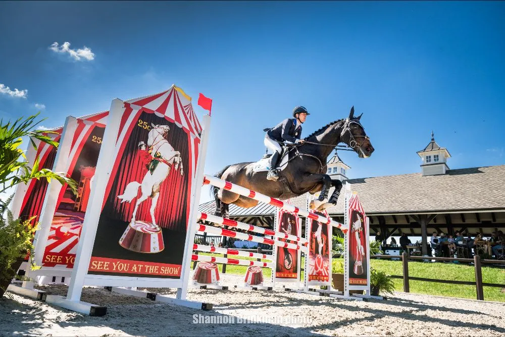 Jenny Caras riding Trendy Fernhill in show jumping at The Event at TerraNova