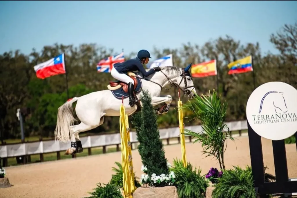 Jessica Springsteen and the grey mare Naomi Van Het Keizershof clearing a jump beneath international flags at the TerraNova Winter Series. Photo by EQ Media.