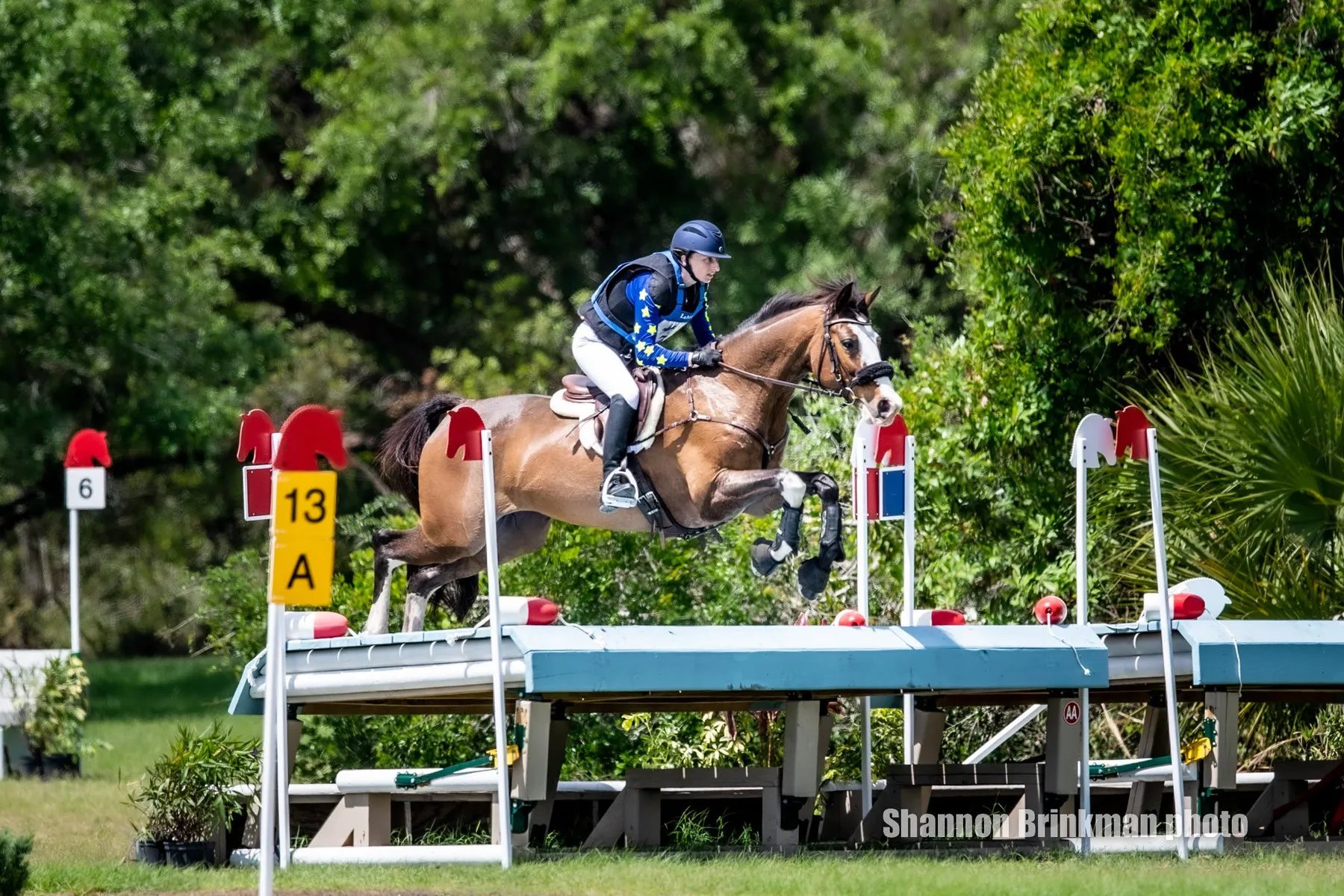 Joe Meyer riding Harbin in the CCI3*-S at TerraNova