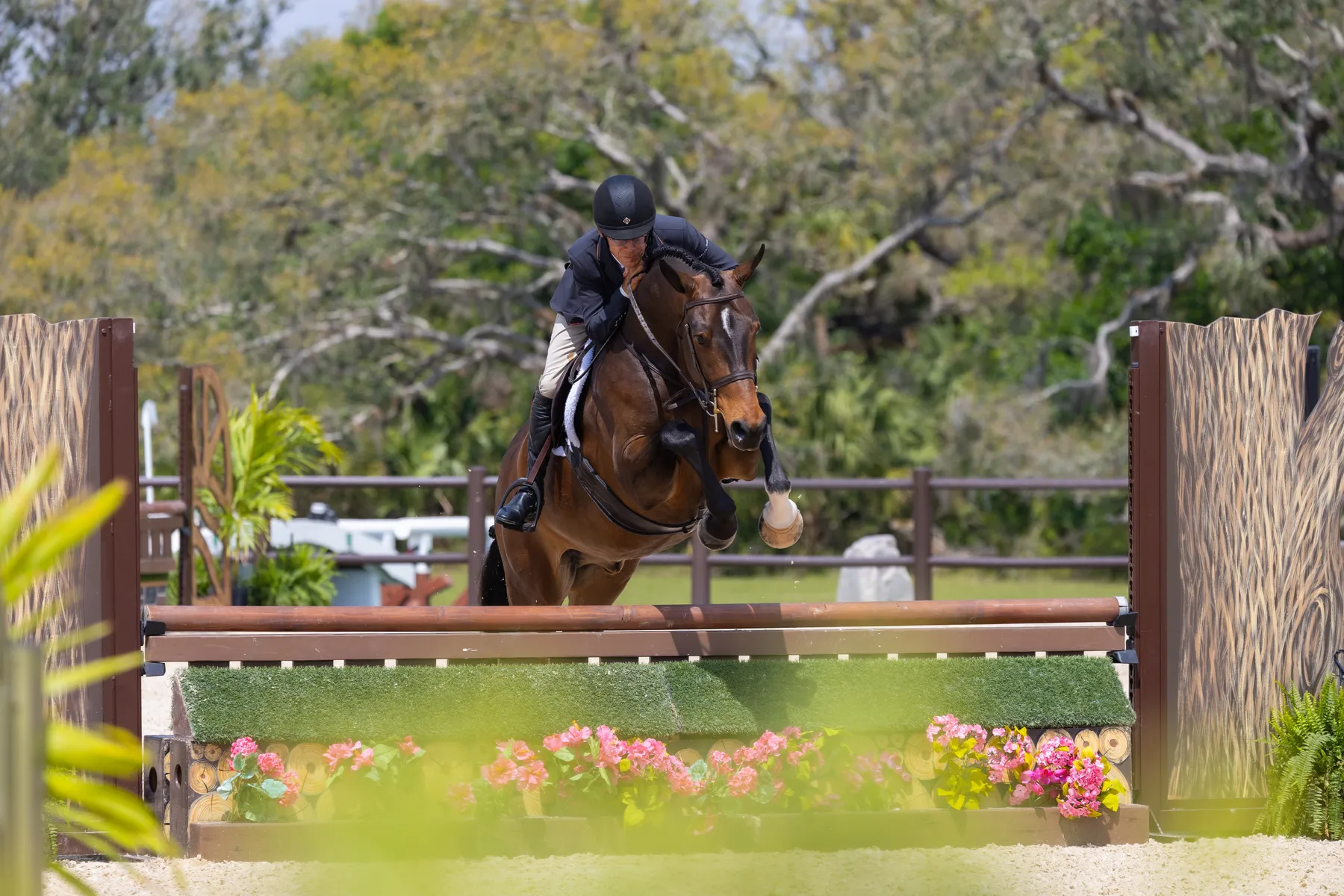 John French riding Tesoro in the $5,000 TerraNova Young Hunter Final