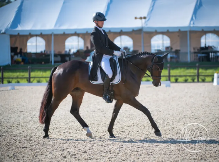 Jonathan Holling aboard Pioneer Archibald leading the CCI3*-S dressage at The Event at TerraNova