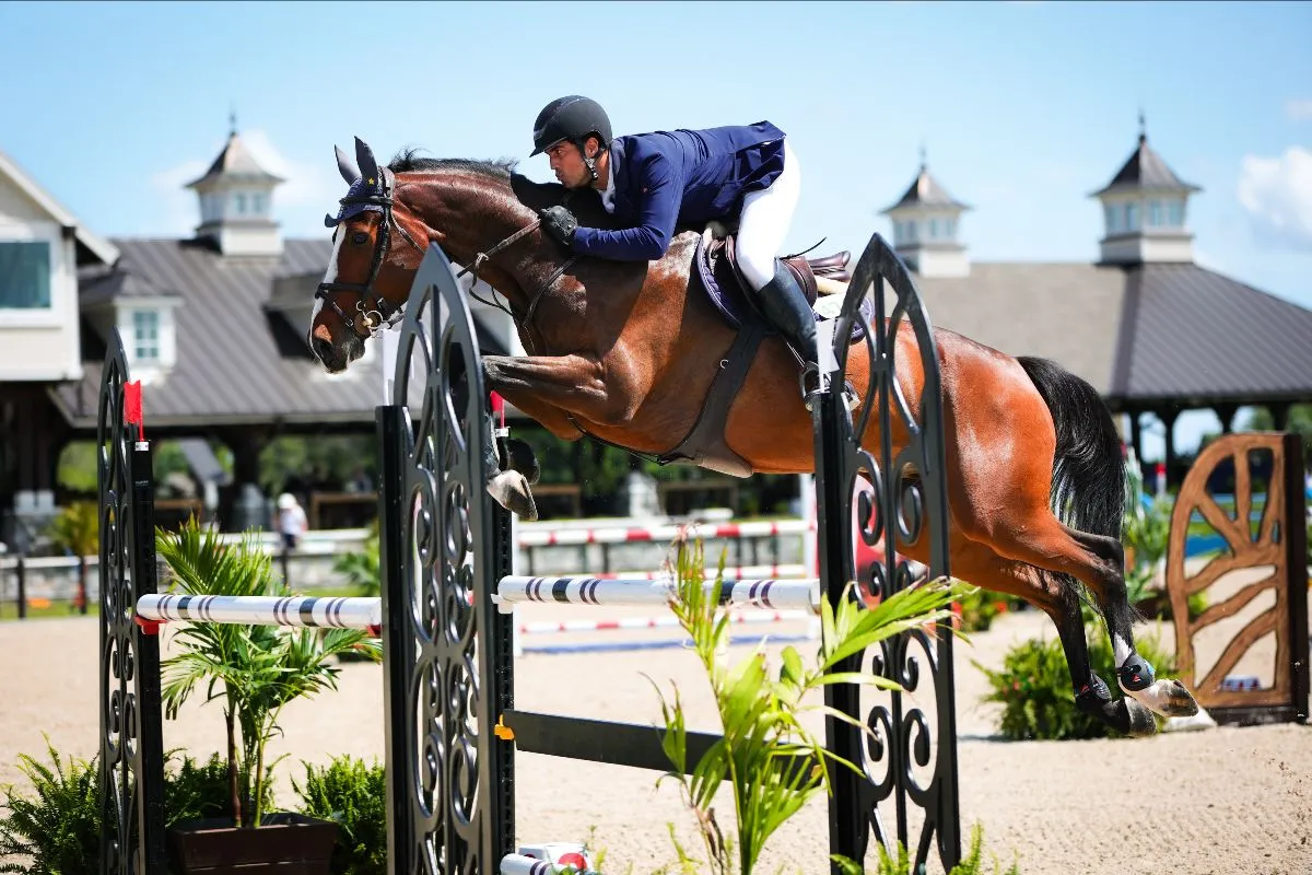 Juan Jose Bancalari Elmudesi riding ERV Chaman to third in the Akerman National Prix at TerraNova