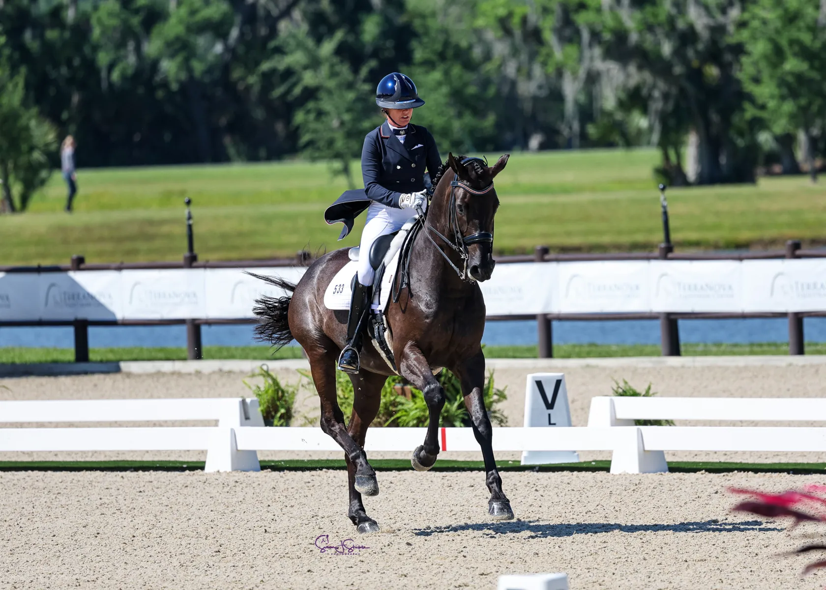 Karen Lipp and Infinity in the B&D Builders CDI3* FEI Grand Prix Freestyle at TerraNova