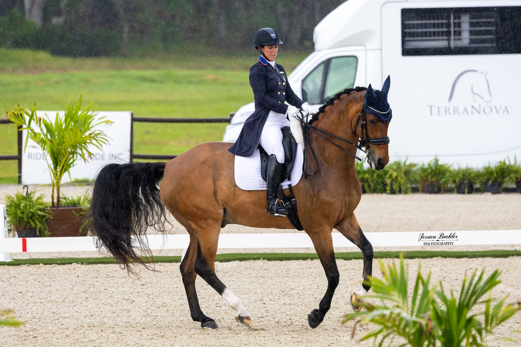 Kasey Perry-Glass riding Heartbeat WP in the CDI3 Grand Prix Special at TerraNova