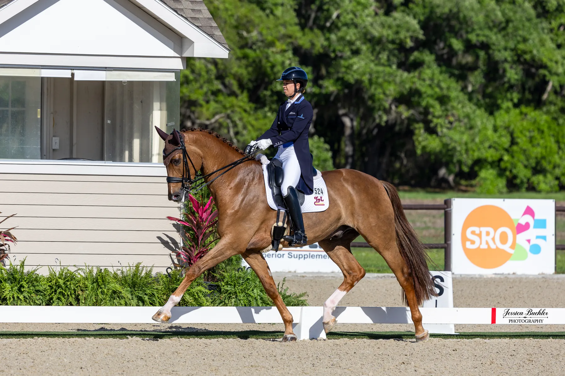 Katie Duerrhammer riding Vividus QRE to second place in the CDI3 Grand Prix Special at TerraNova