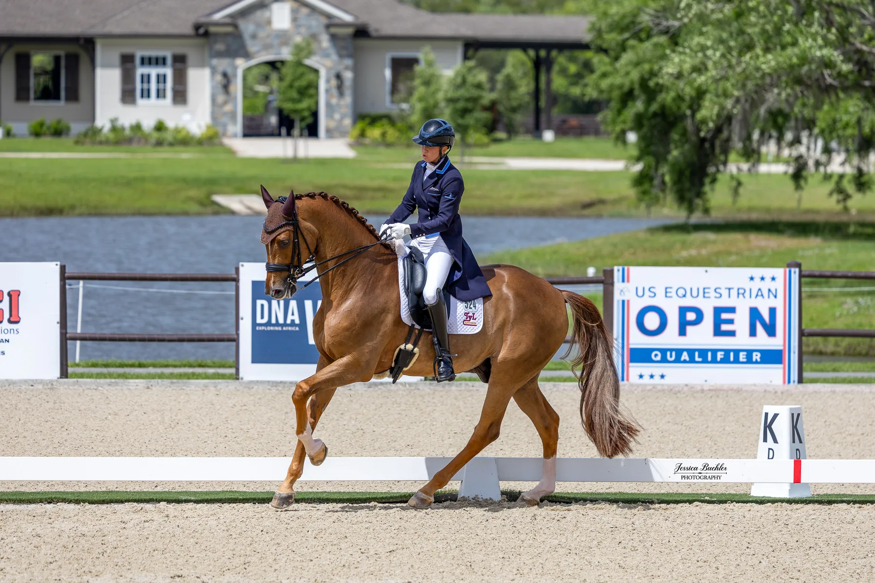 Katie Duerrhammer riding Vividus QRE to victory in the CDI3 Grand Prix at TerraNova