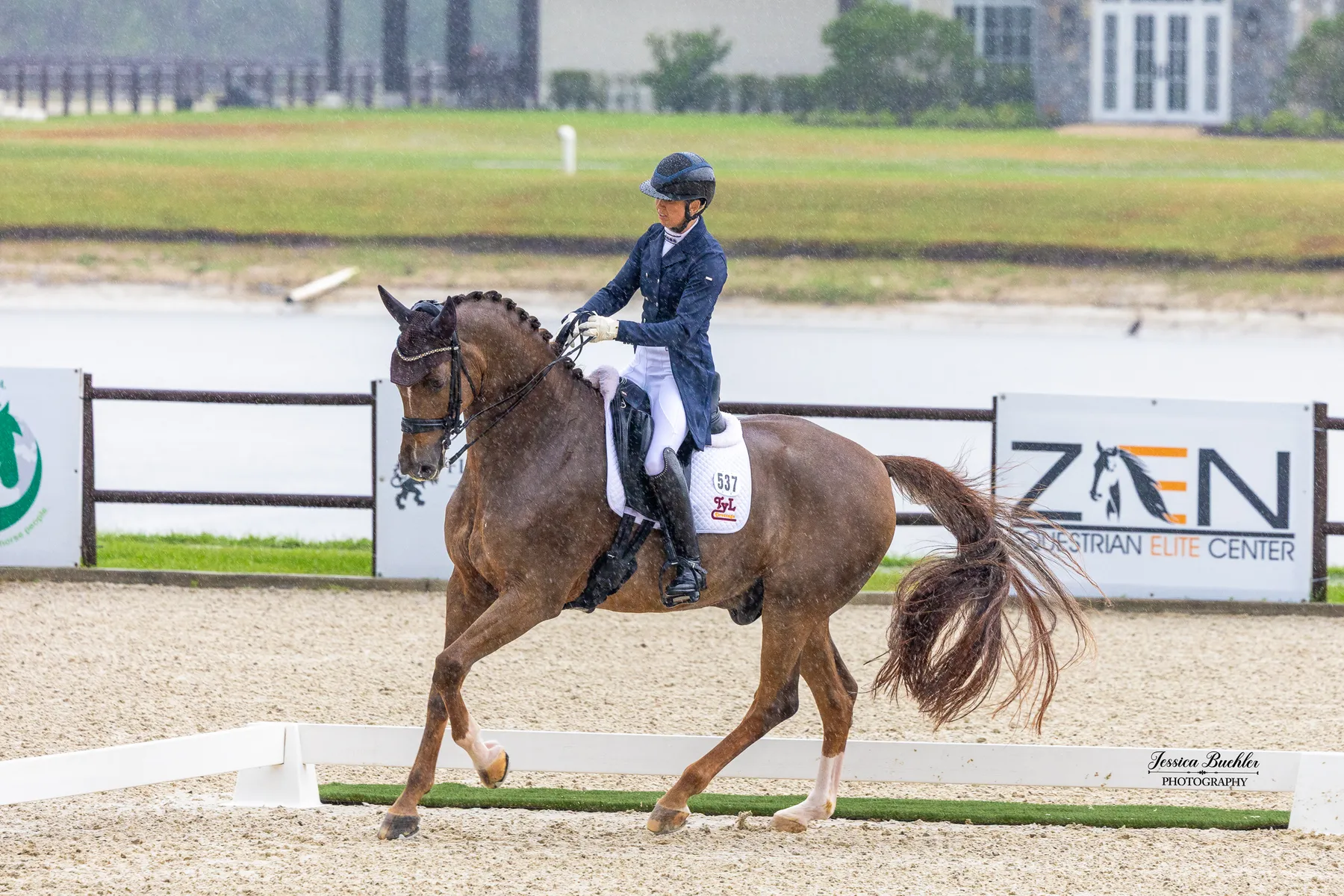 Katie Duerrhammer riding Vividus QRE in the CDI3 Grand Prix Special at TerraNova