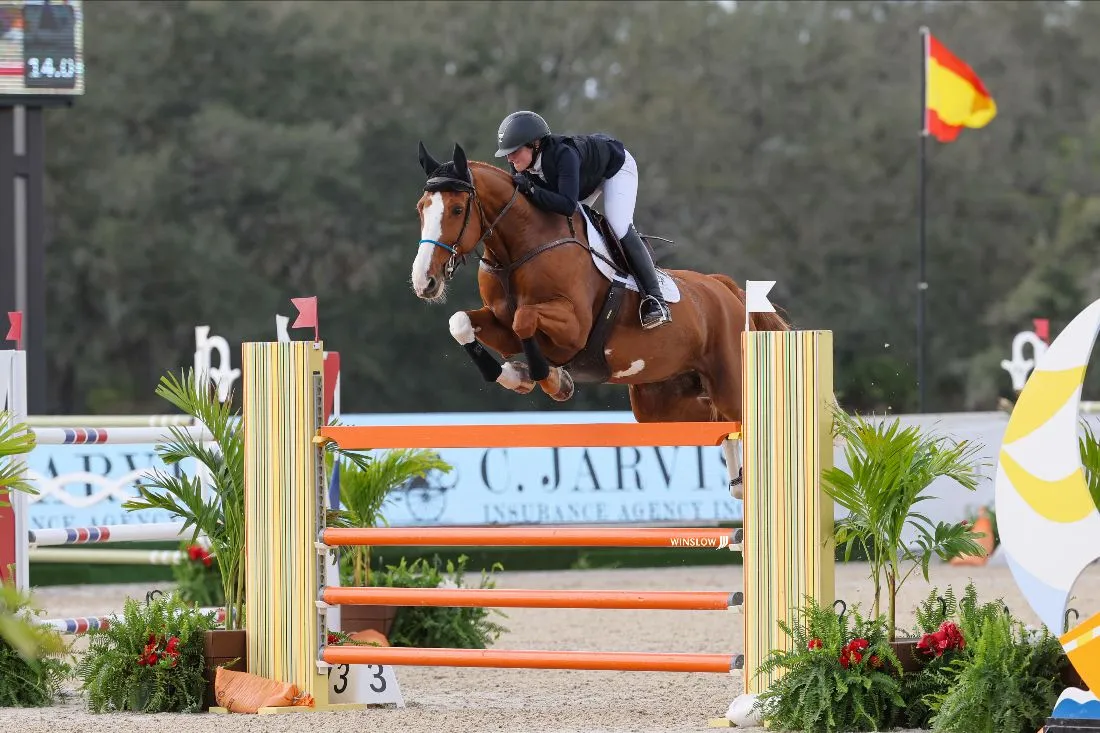 Kelli Cruciotti Vanderveen riding Mochito v/d Mishagen to second in the C. Jarvis Insurance FEI Welcome at TerraNova