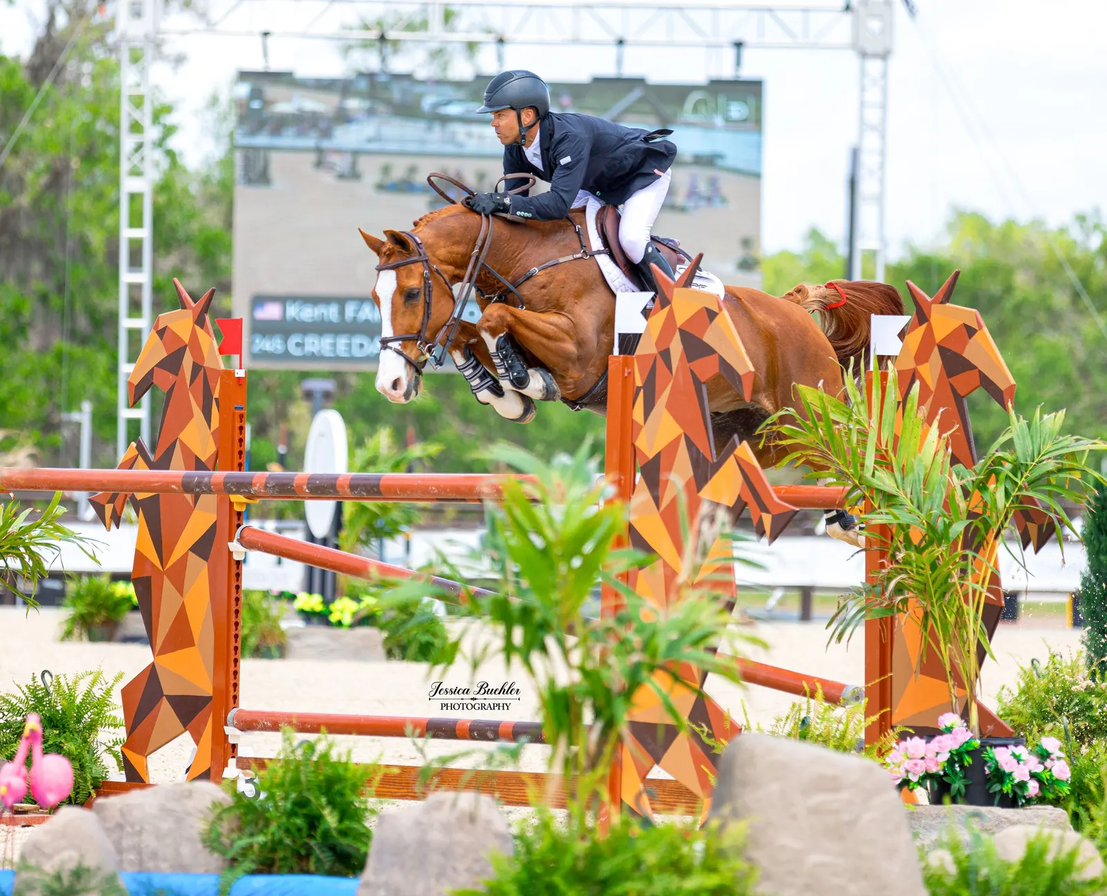 Kent Farrington clearing a show jump aboard a chestnut horse at TerraNova Equestrian Center. Photo by Jessica Buehler.