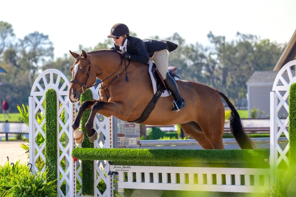 Keri Guanciale riding Quintero in the DNA Wild $5,000 USHJA National Hunter Derby at TerraNova