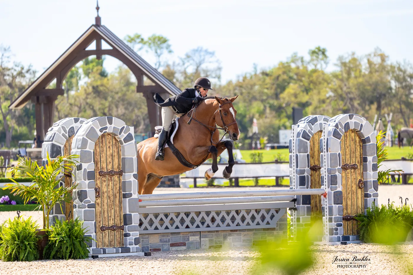 Keri Guanciale riding Quintero in the $5,000 USHJA National Hunter Derby at TerraNova