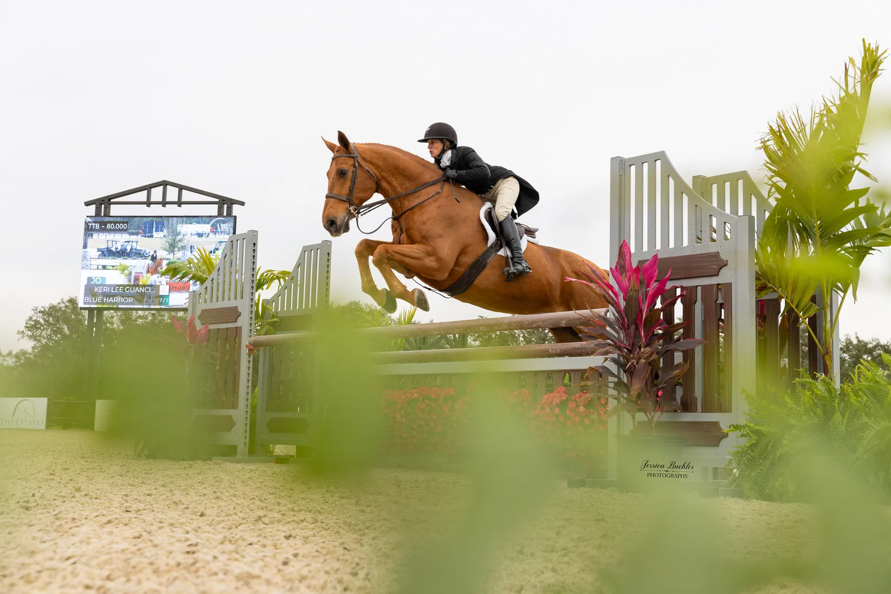 Keri Lee Guanciale riding Blue Harbor over a hunter fence in the $10,000 USHJA National Hunter Derby at TerraNova
