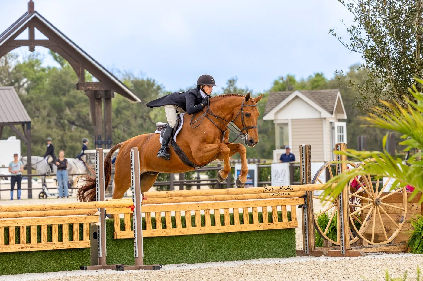 Keri Lee Guanciale riding Blue Harbor in the $5,000 USHJA National Hunter Derby at TerraNova