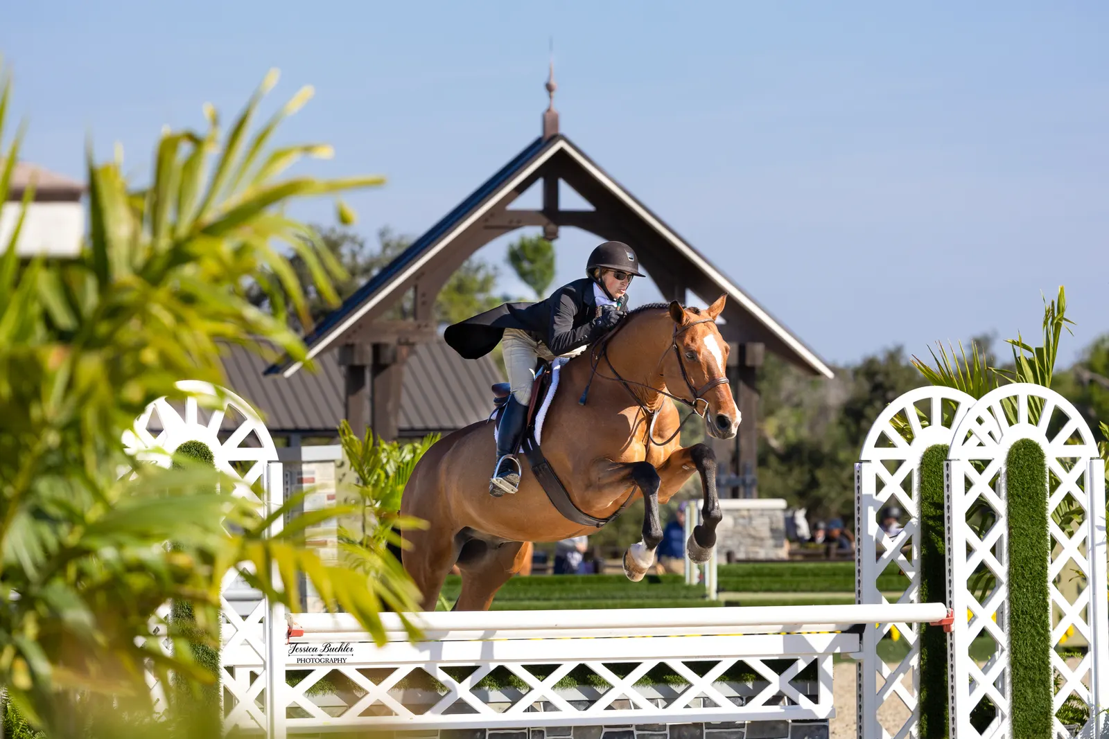 Keri Lee Guanciale riding Quintero over a hunter fence in the $5,000 USHJA National Hunter Derby at TerraNova
