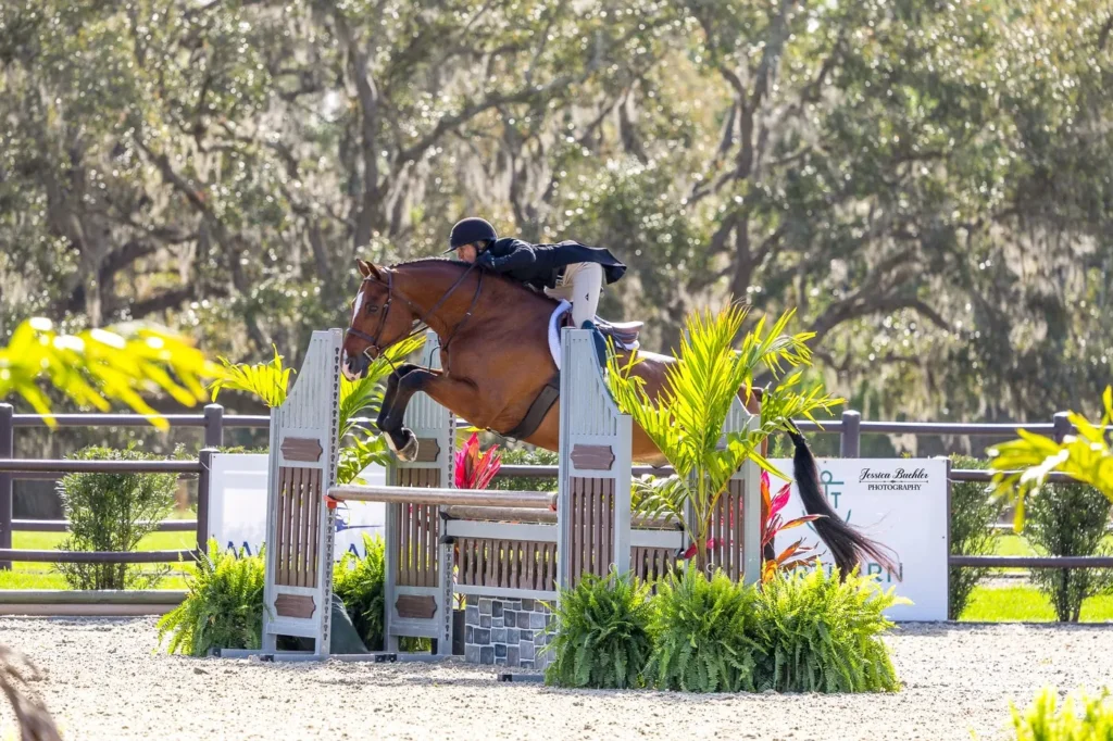 Keri Lee Guanciale riding Quintero over a hunter derby jump at TerraNova
