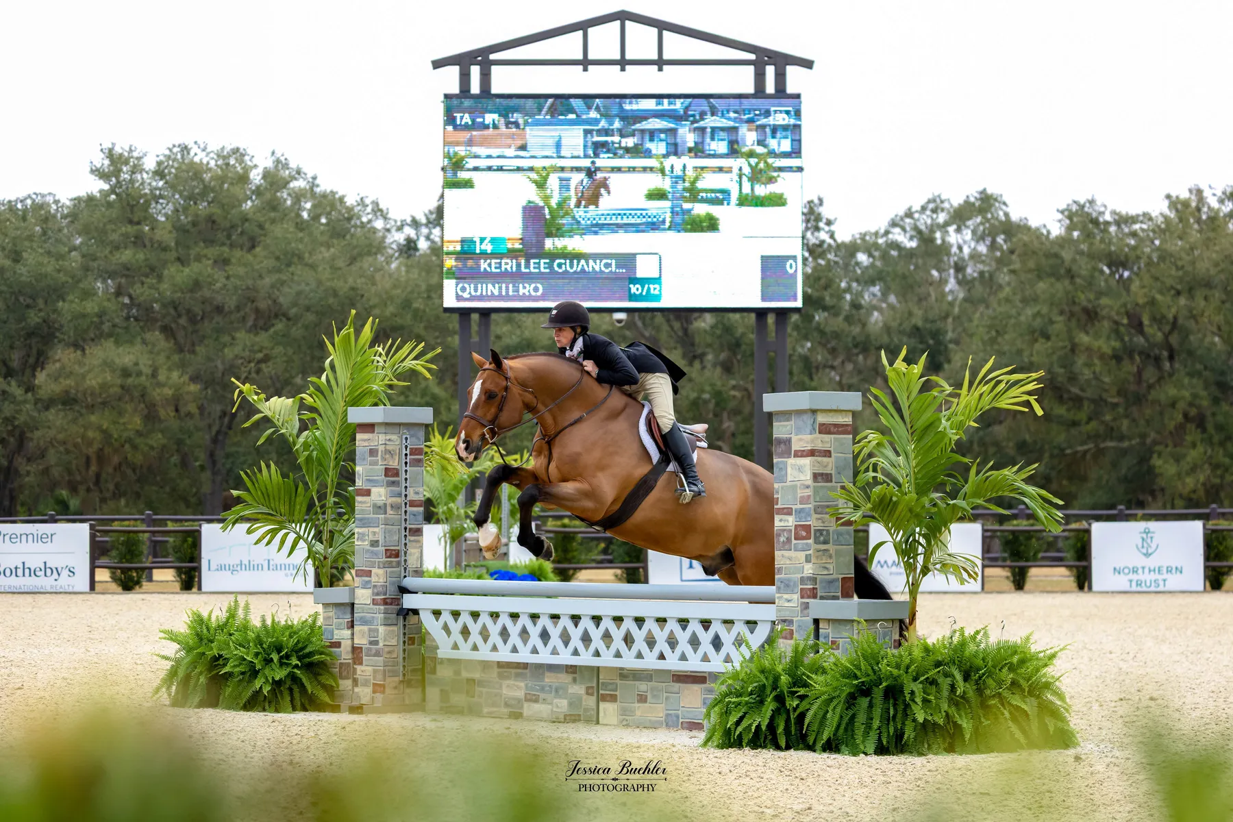 Keri Lee Guanciale riding Quintero in the $5,000 USHJA National Hunter Derby at TerraNova
