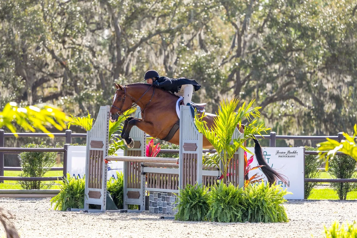 Keri Lee Guanciale riding Quintero over a hunter derby jump at TerraNova
