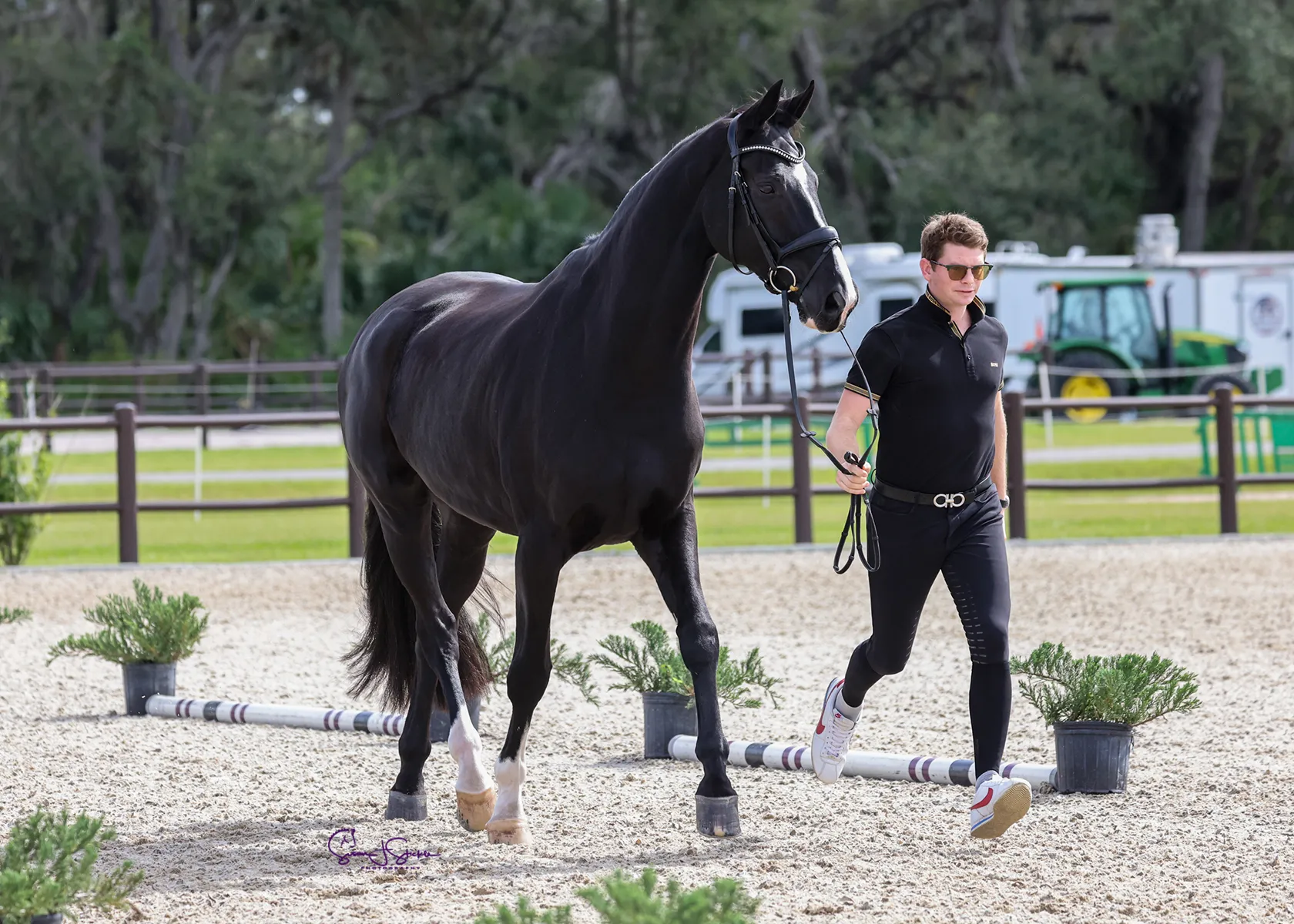 Kevin Kohmann riding Düenensee at the 2023 TerraNova Dressage II CDI3*/CDI-W