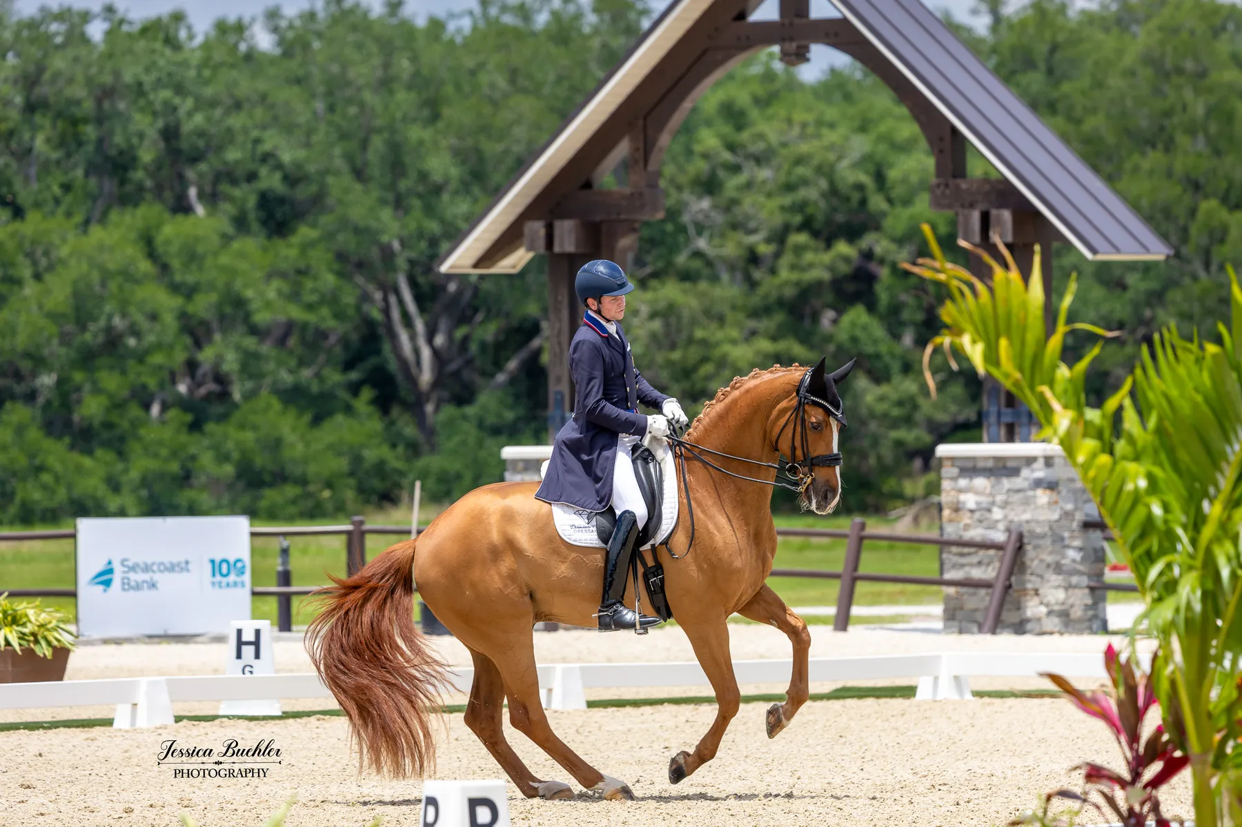 Kevin Kohmann riding Famous to third place in the CDI3 Grand Prix at TerraNova