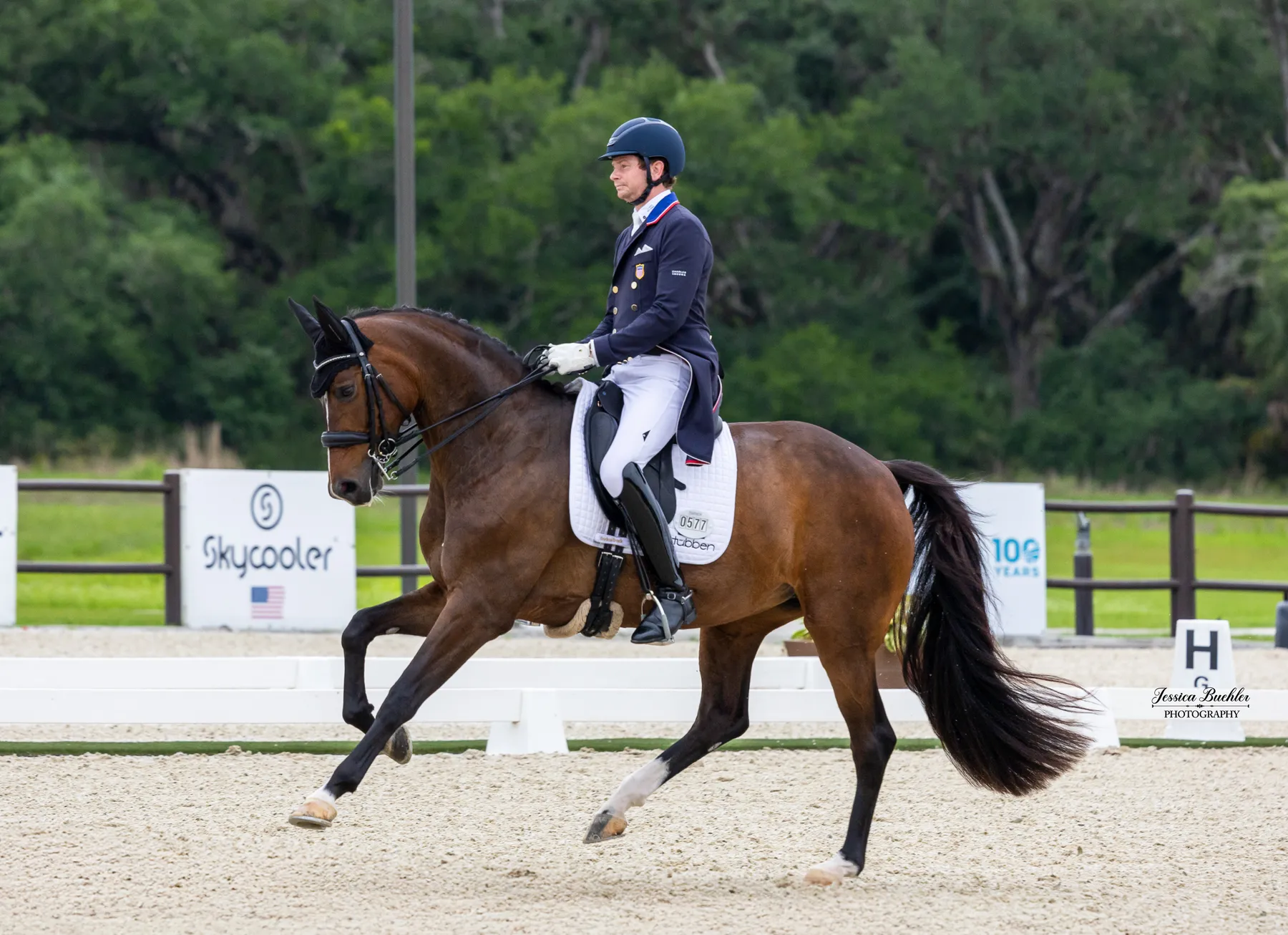 Kevin Kohmann riding Sonata MF in the Zen Elite Equestrian CDI3 Grand Prix Special at TerraNova