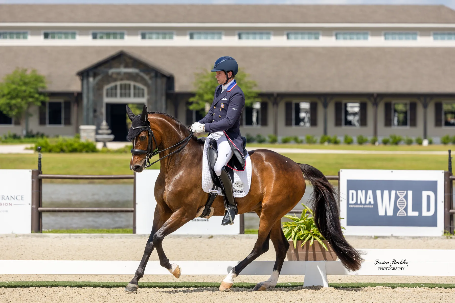 Kevin Kohmann riding Sonata MF to victory in the Zycosan CDI3 Grand Prix at TerraNova