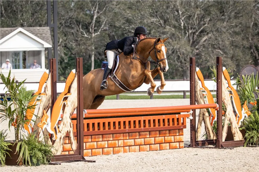 Kim Buzby riding Willoughby in the $5,000 USHJA National Hunter Derby at TerraNova