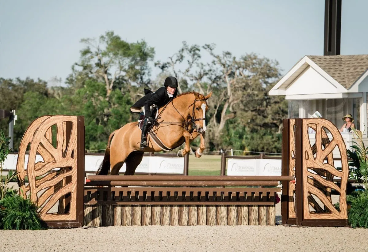 Kim Buzby riding Willoughby in the $5,000 USHJA National Hunter Derby at TerraNova