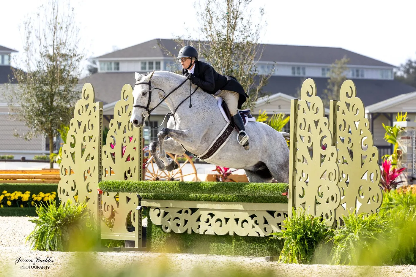 Krista Lynn Hodgkin riding Fanlehane Valentino in the USHJA National Hunter Derby at TerraNova