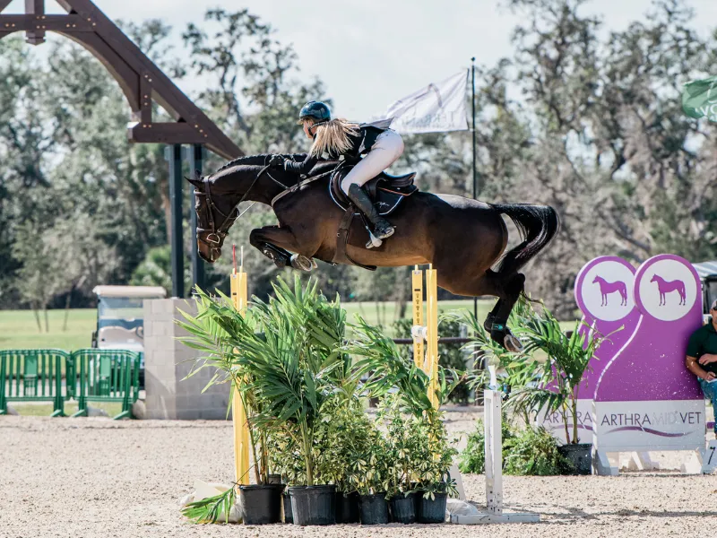 Kristen VanderVeen riding Bull Run's Jireh jumping to the top spot in the $50,000 Grand Prix of Sarasota at TerraNova