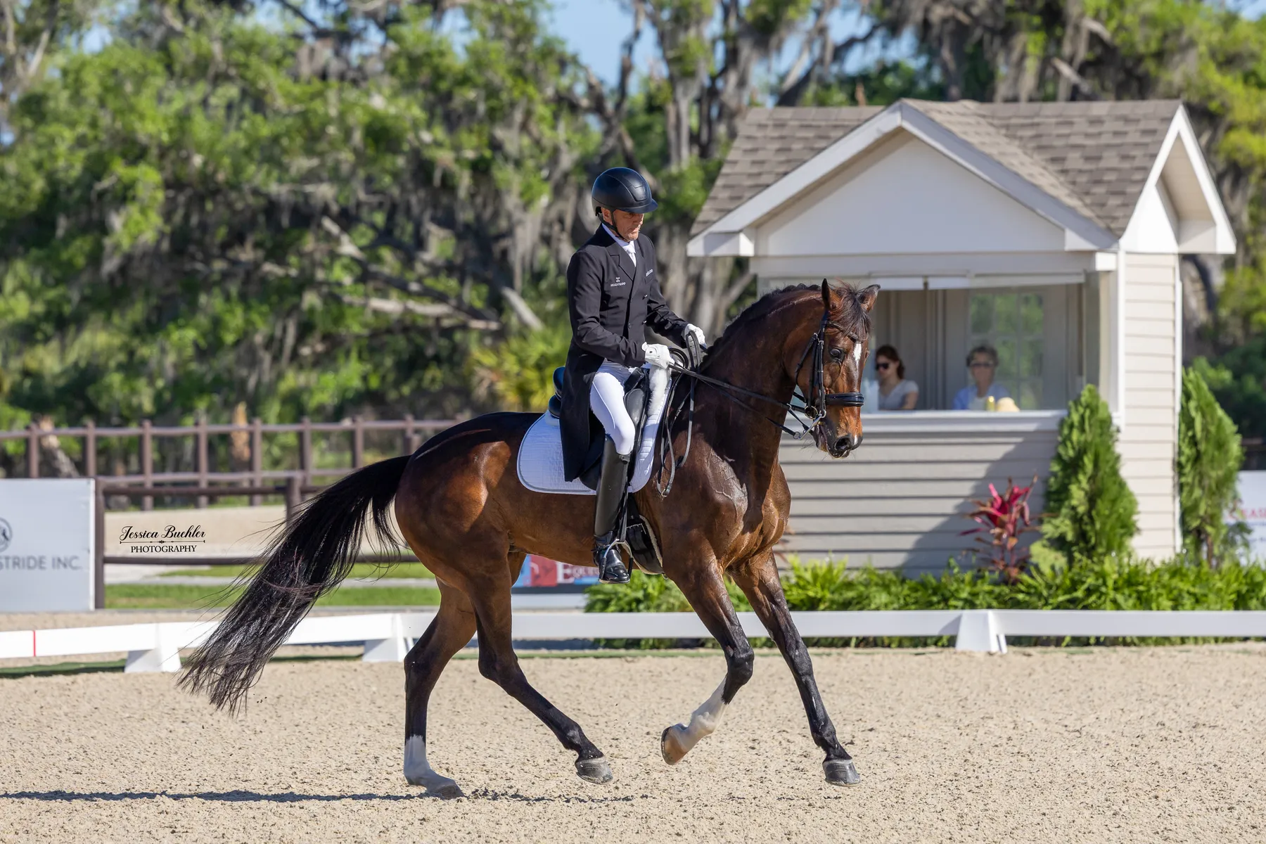 Lars Peterson riding Sang Real to third place in the CDI3 Grand Prix Special at TerraNova