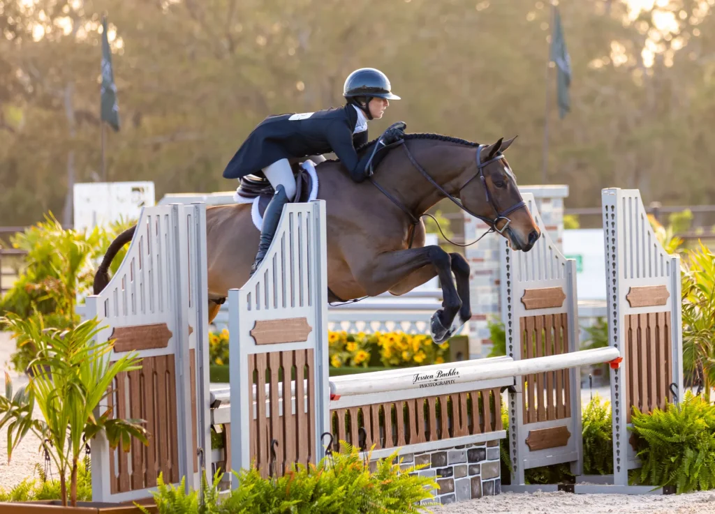 Laura Douglas riding Balou Label in the SWFL Camping Rentals $5,000 USHJA National Hunter Derby